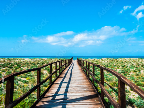 wooden path in the green nature on the beach of the mediterranean sea in a clear summer holiday day