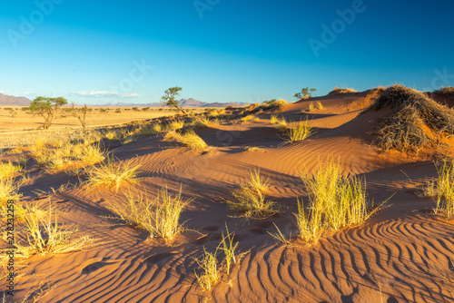 malerische Landschaft am Rand der Namib, Wolwedans, Family Hideout, Hardap, Namibia