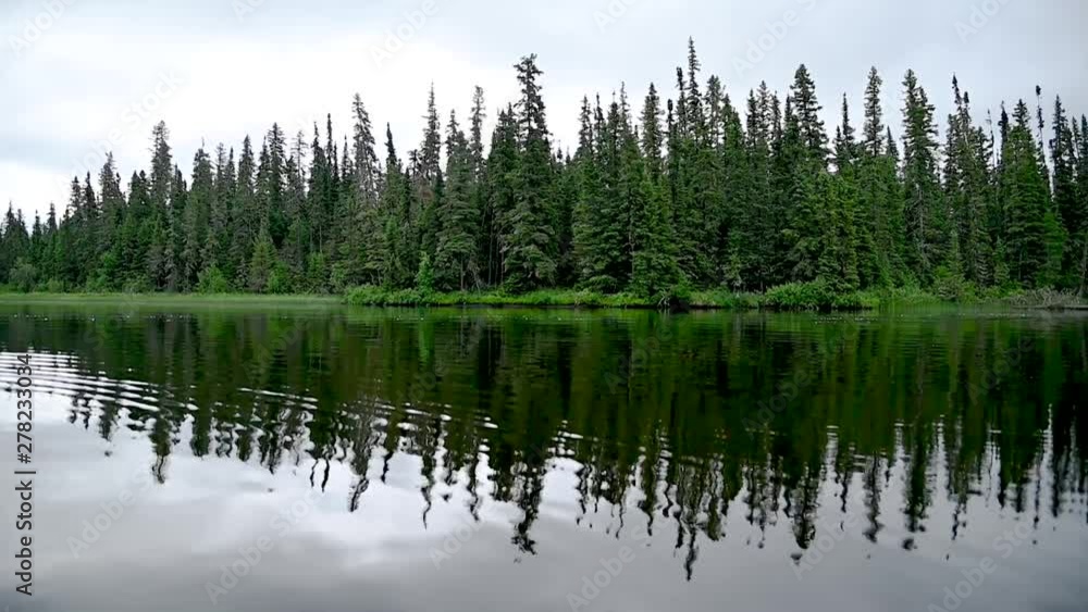 Canoeing along a calm northern river with the pine and spruce trees reflecting in the water Canoeing along a calm northern river with the pine and spruce trees reflecting in the water