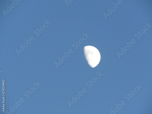Bild auf Leinwand Moon in the day
