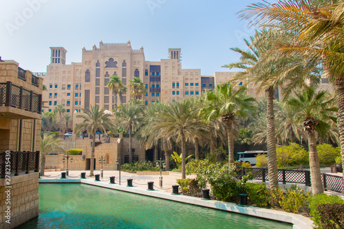 Palm tree with Arabic buildings in Dubai  United Arab Emirates