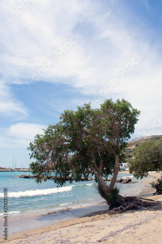 Greece, the island of Sikinos. Tamarisk trees at the port beach.  An early summers day, and the beach is quiet.. Hazy clouds in the sky. photo