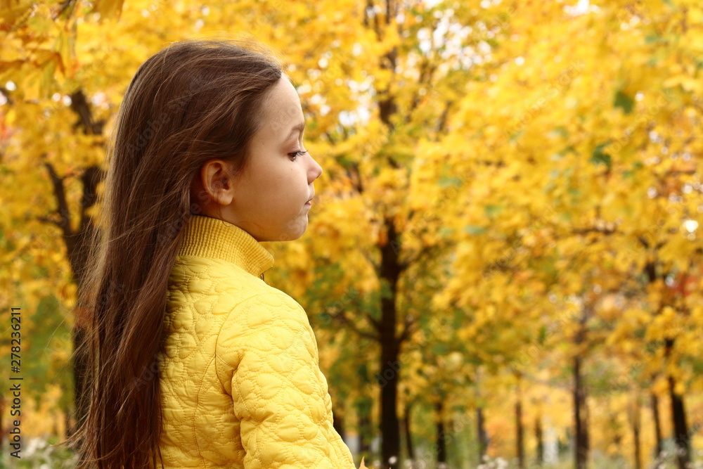 beautiful little girl in the autumn forest, brunette teenager enjoys nature beautiful little girl in the autumn forest, brunette teenager enjoys nature