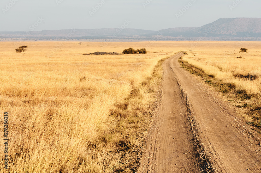 Obraz premium Road in the African savannah.