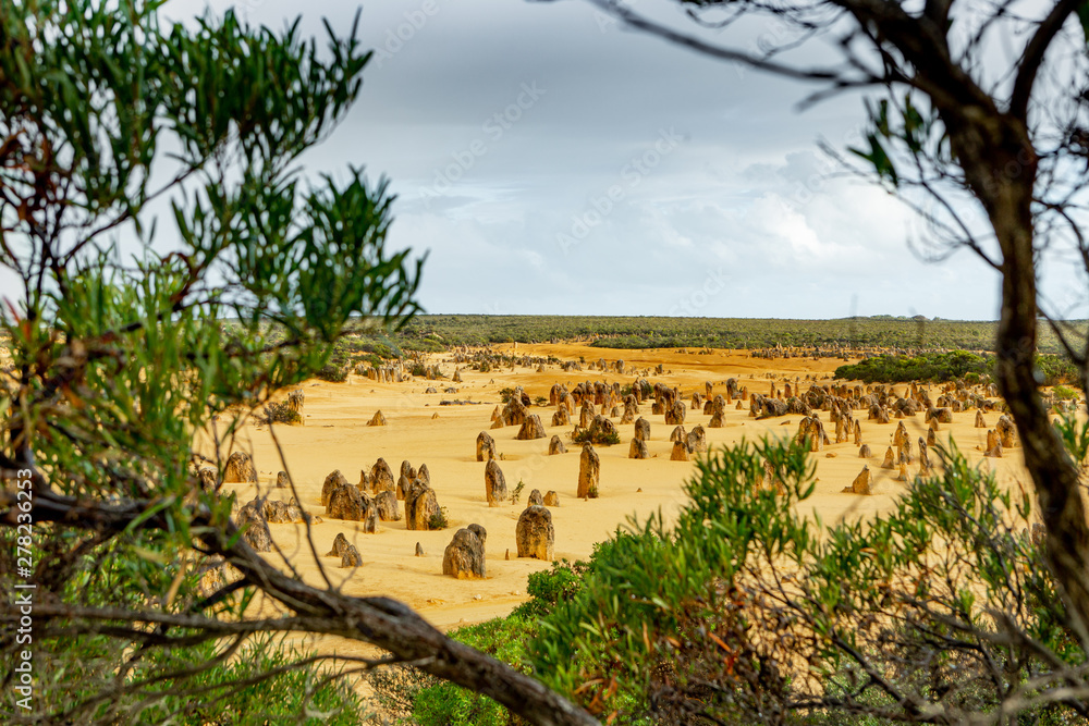 Fototapeta premium Pinnacle National Park in Western Australia