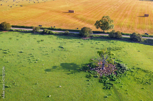 Aerial view Over Countryside Fields in UK photo