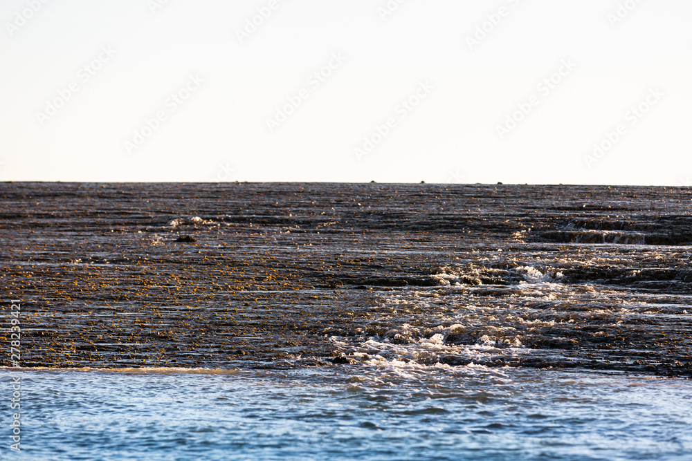 Montgomery reef, on the Kimberly cost at sunset Montgomery reef, on the Kimberly cost at sunset