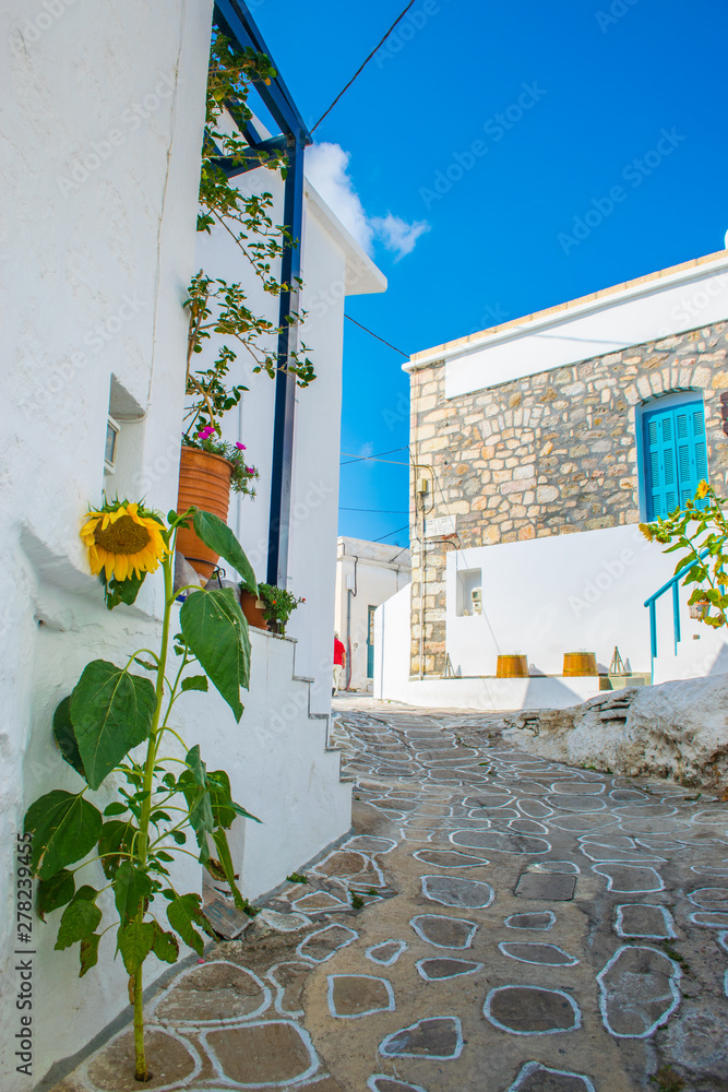 Street view of Chorio village with paved alleys and traditional cycladic architecture in Kimolos island in Cyclades, Greece
