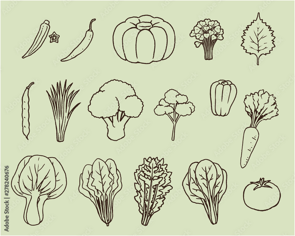 緑黄色野菜01 線画 Stock ベクター Adobe Stock