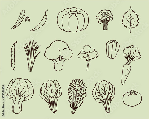 緑黄色野菜01-線画