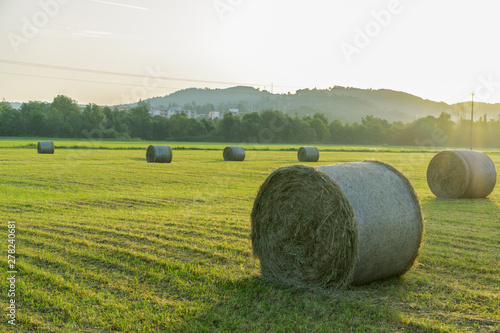 Heuballen zeit