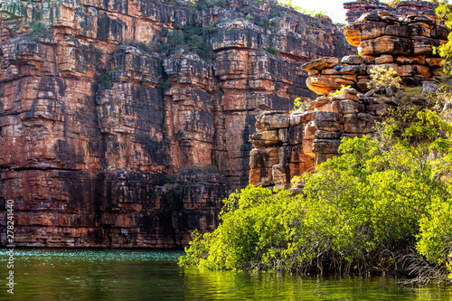 low angel view from the King George River in the Kimberleys in Western Australia, showing lush mangroves and dramatic sandstones
