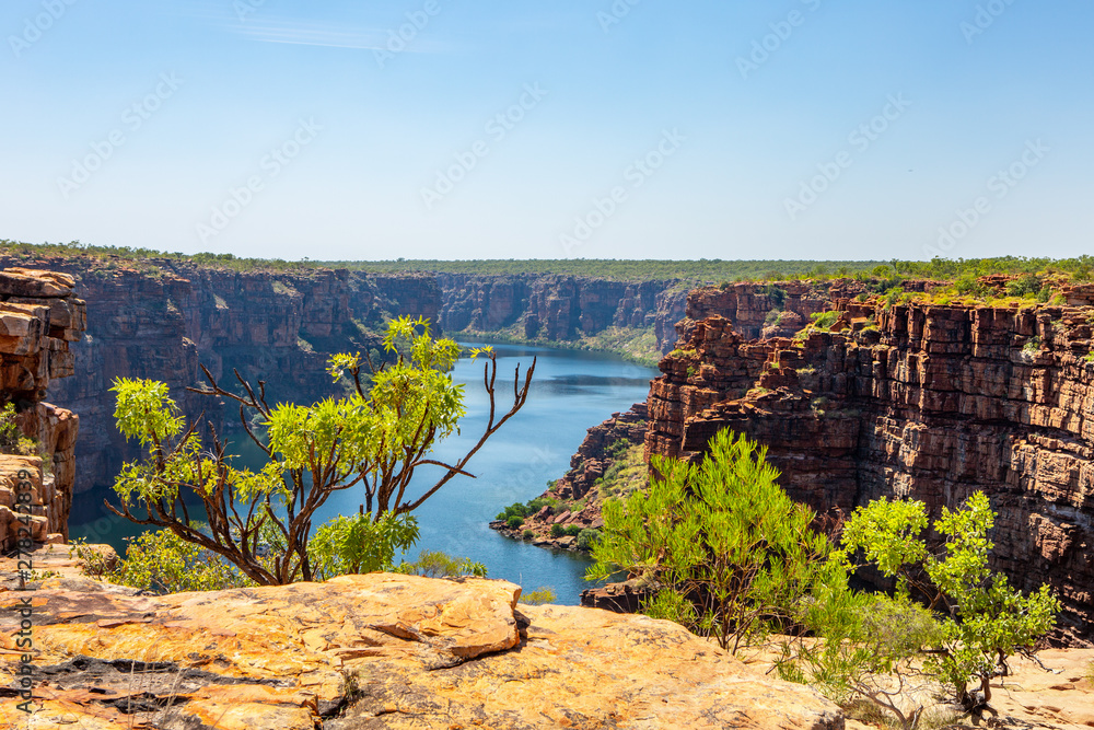 high angel view over King George River Gorge and plateau in the Kimberleys  with lush bushes and sandstone formation in  the foreground and background
