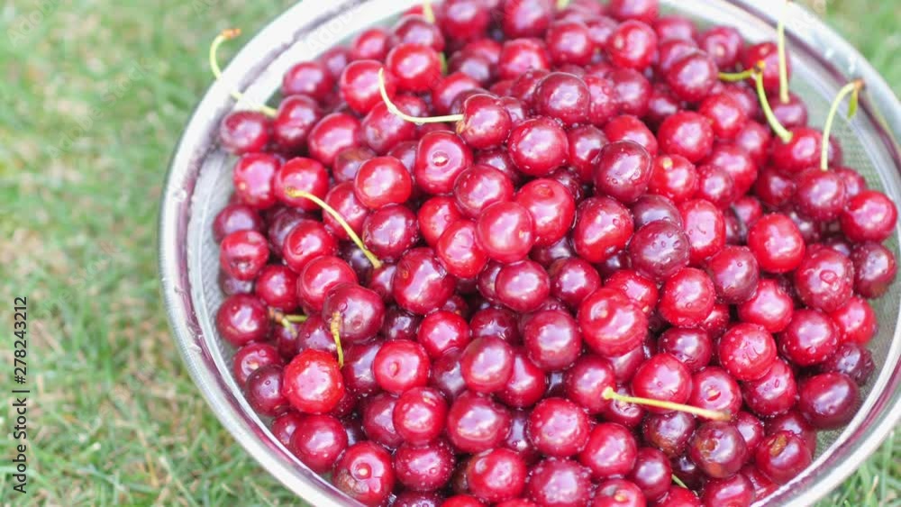Top view Closeup of fresh ripe cherries on green natural background. Tasty and healthy fruits. 4K UHD video Top view Closeup of fresh ripe cherries on green natural background. Tasty and healthy fruits. 4K UHD video
