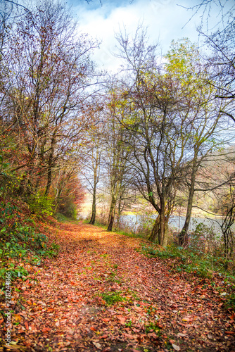 Autumn landscape 