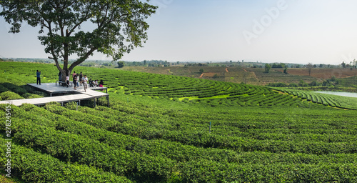 Tourists visit and enjoy views of 101 Tea Plantation, located on Doi Mae Salong Mountain in Chiang Rai province of Thailand, near the Golden Triangle