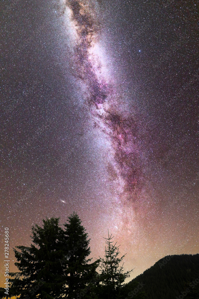 Purple Milky way falling stars pine trees silhouette Purple Milky way falling stars pine trees silhouette