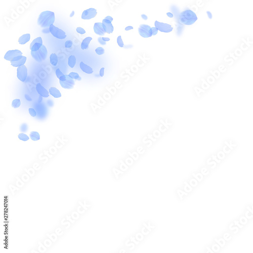 Dark blue flower petals falling down. Majestic rom