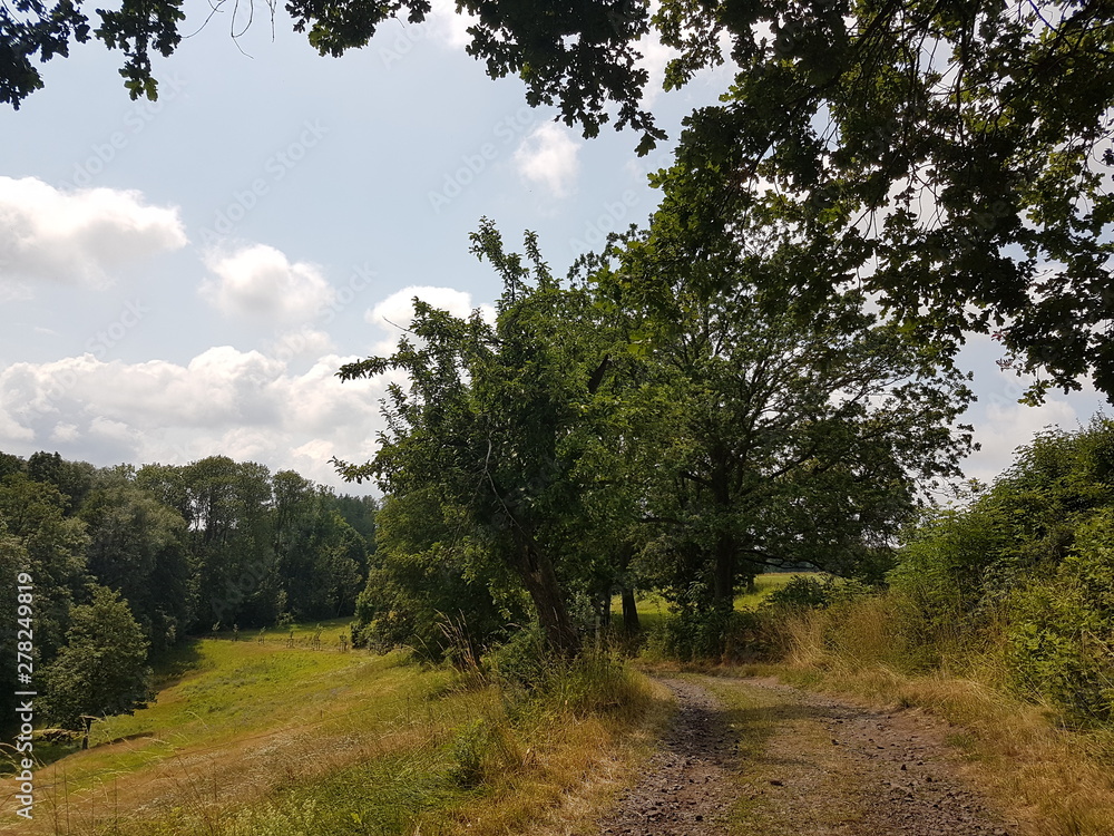 Feldweg Natur Landschaft