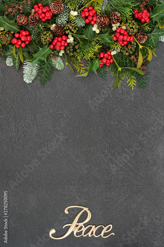 Christmas peace background border with gold sign, winter flora and fauna of holly, mistletoe, ivy, cedar leaves and snow covered spruce fir on grunge grey background with copy space.