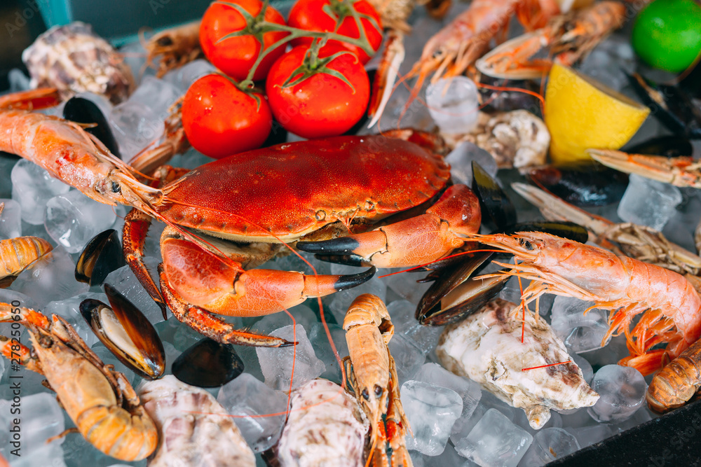 Seafood on ice. Crabs, sturgeon, shellfish, shrimp, Rapana, Dorado, on white ice. Seafood on ice. Crabs, sturgeon, shellfish, shrimp, Rapana, Dorado, on white ice.