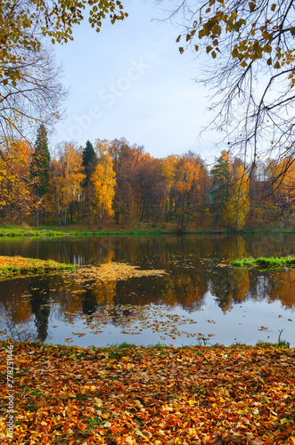 Autumn scene with pond and trees covered by orange and red leaves