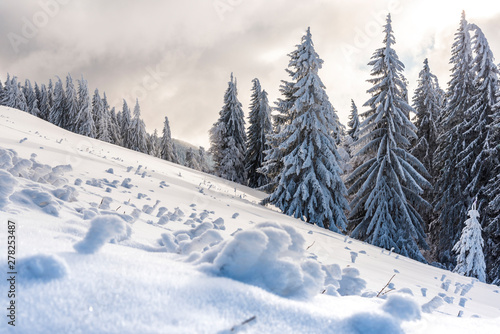 Winter landscape © Ivanica