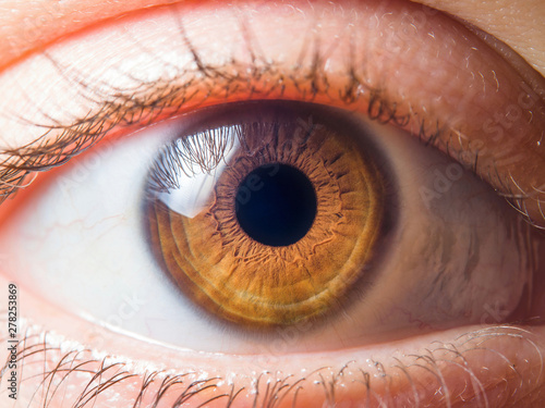 Human eye close up