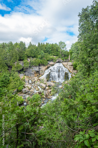 Inglis Falls Through the Trees