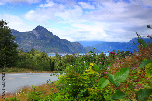 scenic rural landscape with wild flowers in British Colombia along highway 99 photo