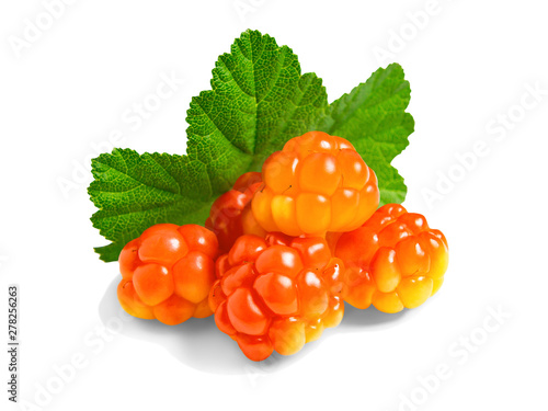 Several berries of cloudberries with a leaf isolated on a white background with clipping paths with shadow and without shadow