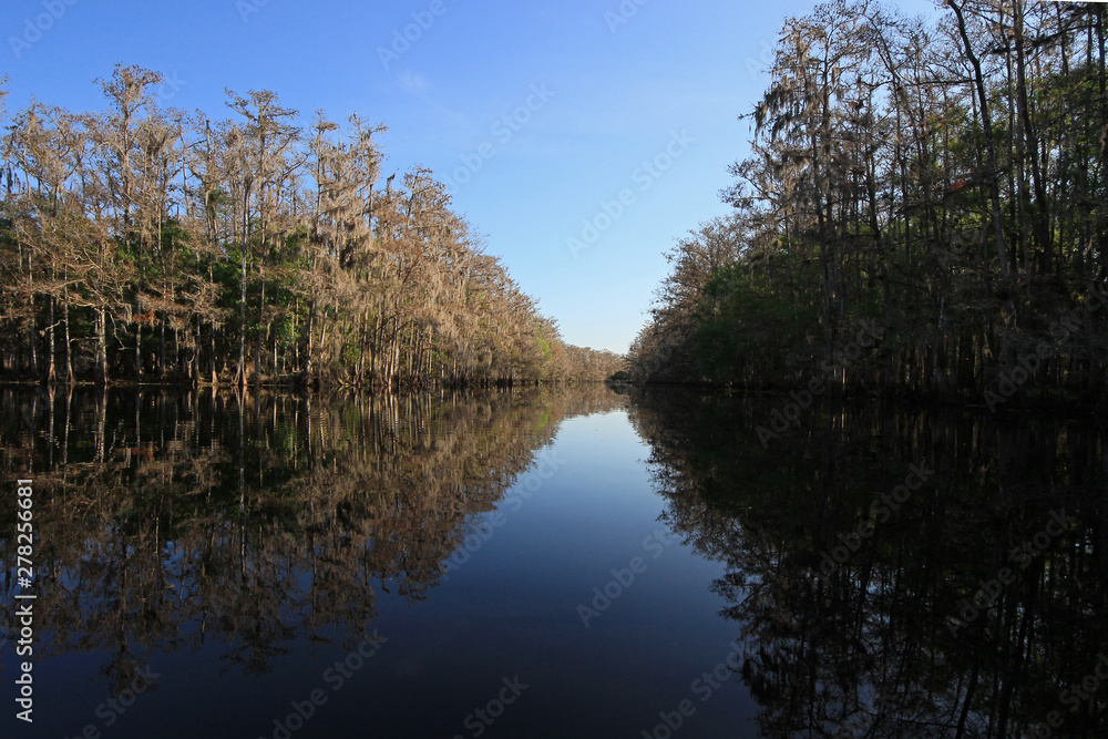 Fisheating Creek, Florida, on a calm and sunny winter afternoon.