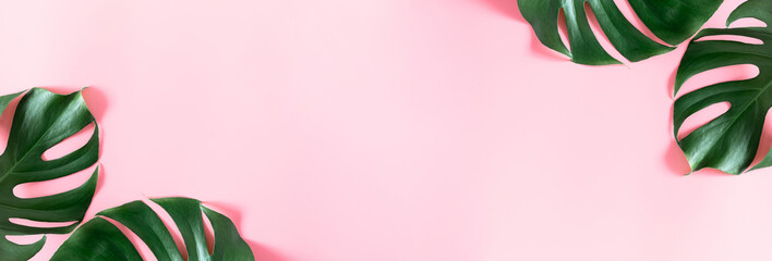 Summer concept. Green leaves monstera on pink background. Flat lay, top view, copy space, banner