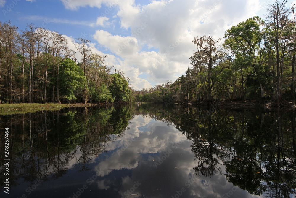 Fisheating Creek, Florida, on a calm and sunny winter afternoon. Fisheating Creek, Florida, on a calm and sunny winter afternoon.