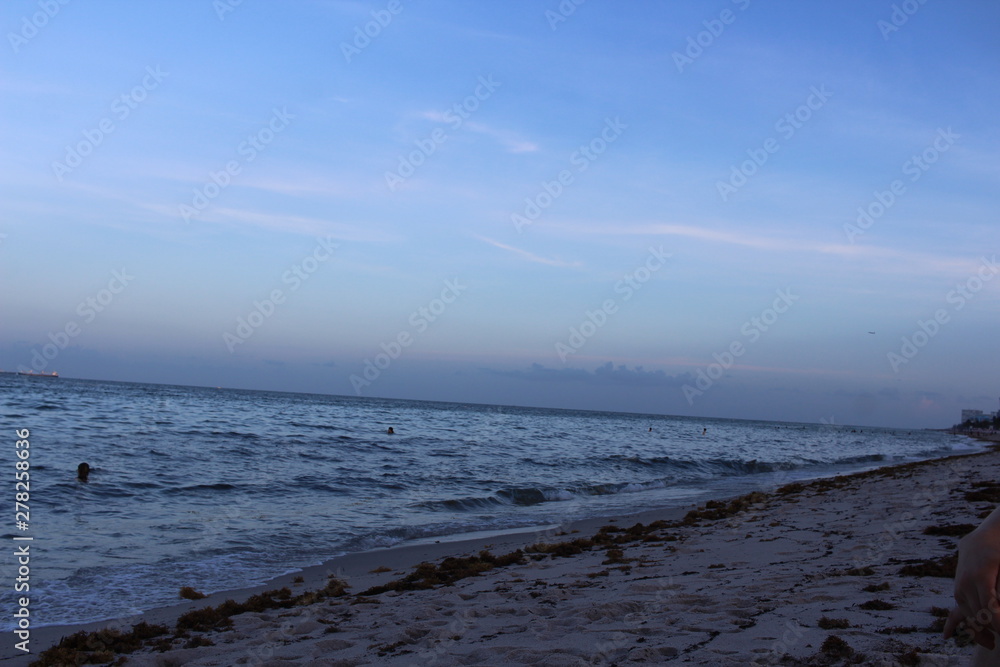 Obraz premium the ocean