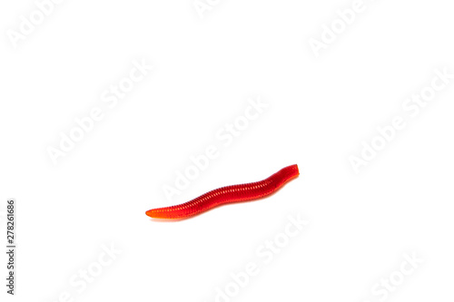 Artificial fishing larvae of insects on white background with soft shadow