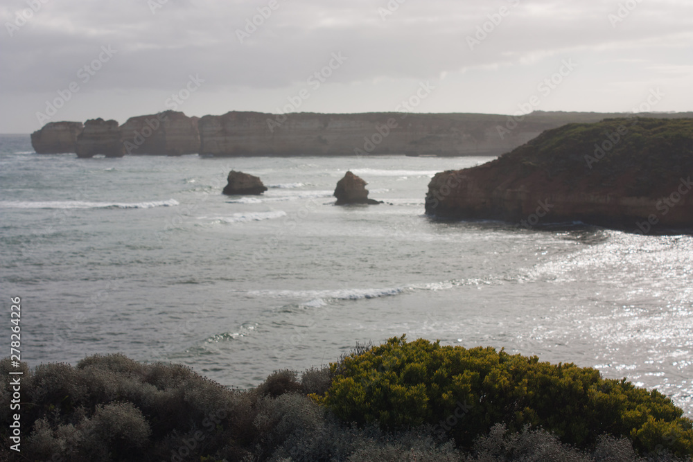 Green shrub in the foreground in the Bay of Islands on the Great Ocean Road in Australia