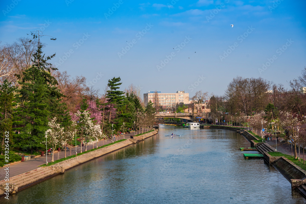 Naklejka premium Flowers at the springtime