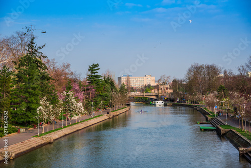 Flowers at the springtime