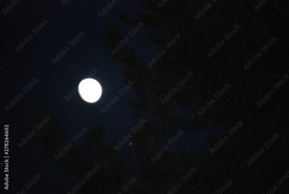 The Earth's Moon and Jupiter The Earth's Moon and Jupiter