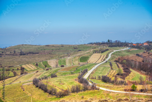 Springtime landscape