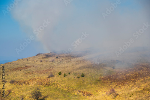 Fire on the field at the spring