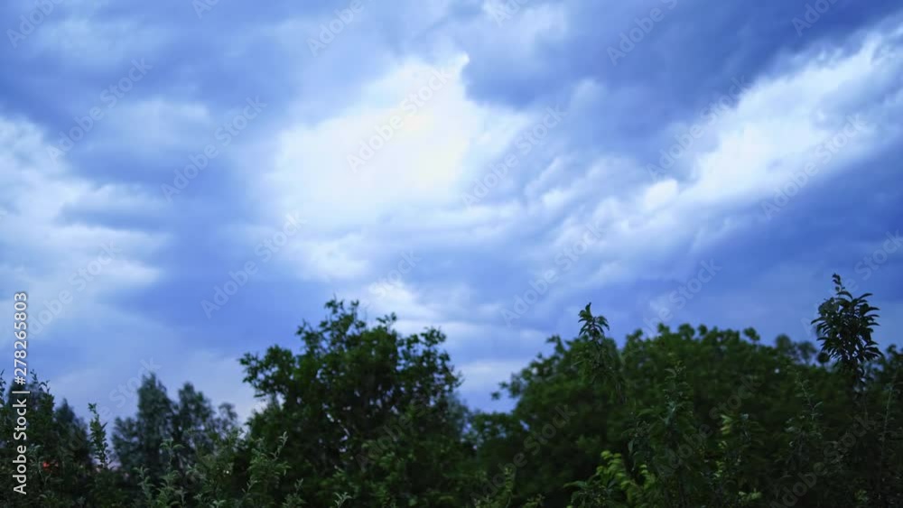 Strong wind shakes big green tree tops at summer day. The wind moving branches of trees on the background of cloudy sky before the rain. Strong wind shakes big green tree tops at summer day. The wind moving branches of trees on the background of cloudy sky before the rain.