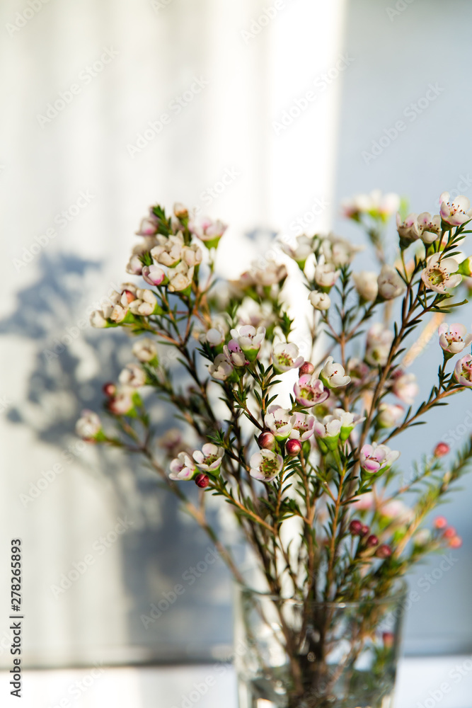 bouquet of flowers in a vase on white background