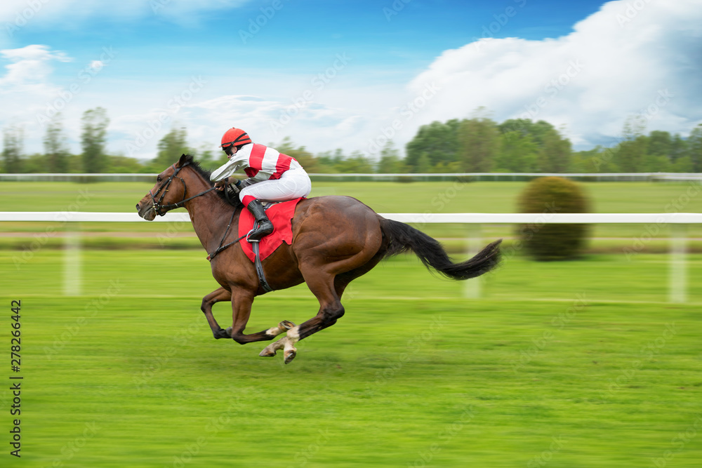 Race horse with jockey on the home straight. Shaving effect. Race horse with jockey on the home straight. Shaving effect.