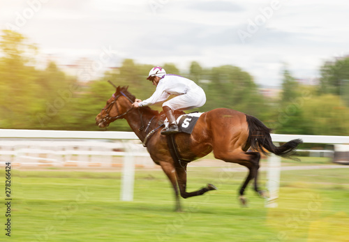 Race horse with jockey on the home straight. Shaving effect. © Lukas Gojda