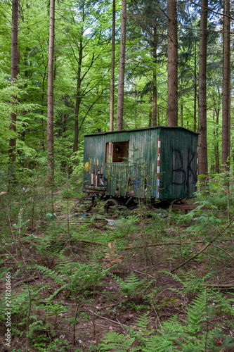 Forest Germany. East Friesland. Ost Friesland © A