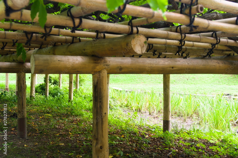 wooden bench in park