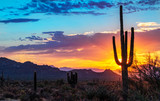 Vibrant Arizona Landscape Sunrise With Cactus & Mountains In Background.