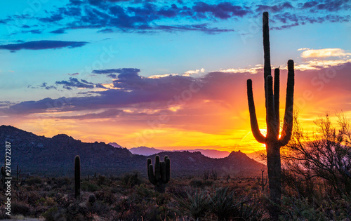 Vibrant Arizona Landscape Sunrise With Cactus & Mountains In Background.